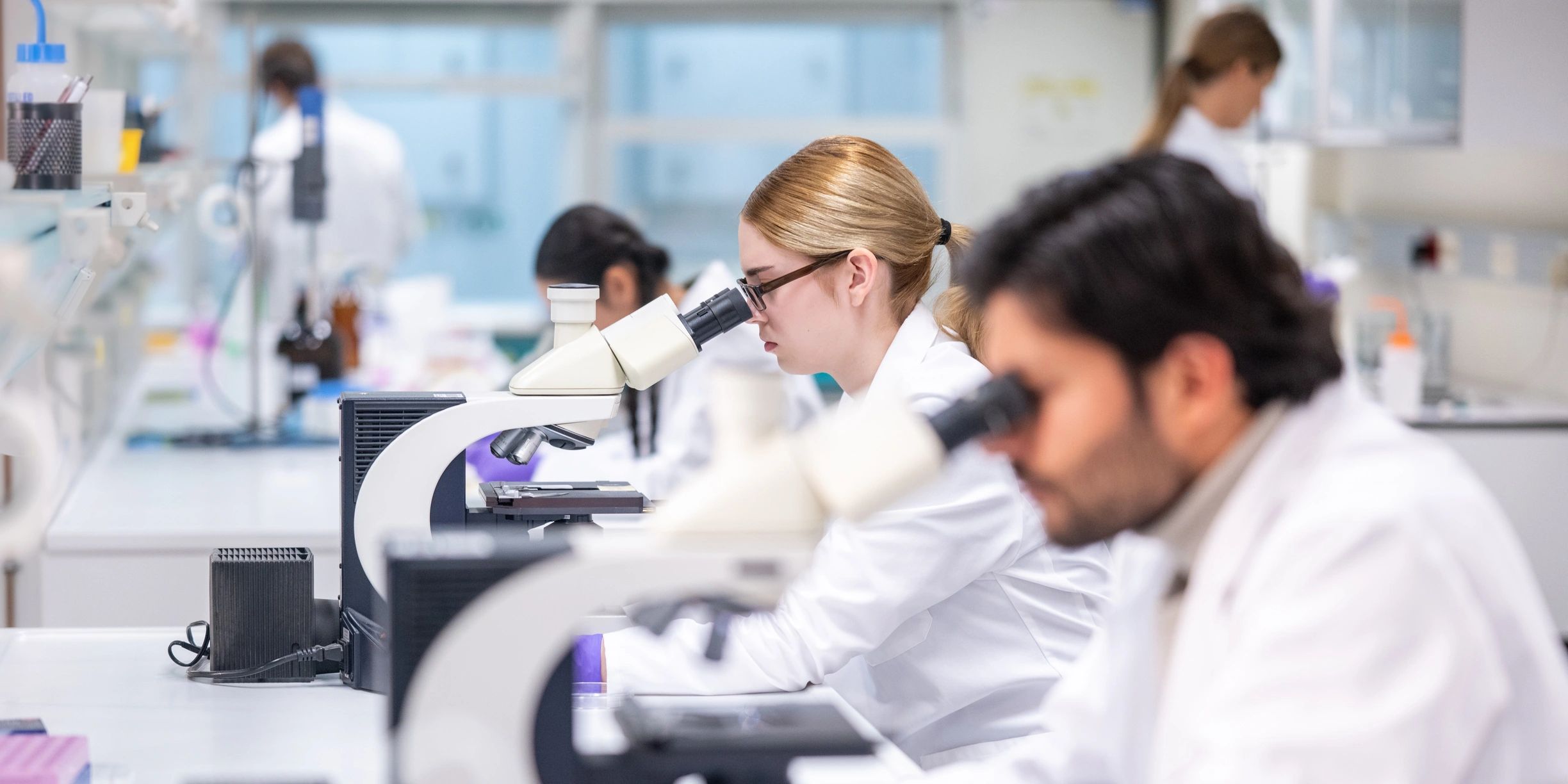 Laboratory scientists working in a regulated medical environment